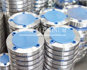 Aluminium Alloy 1100 Flanges