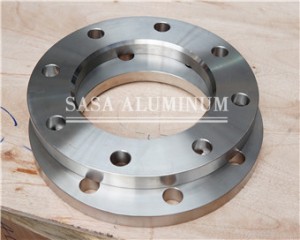 Aluminium Alloy 6061 Flanges